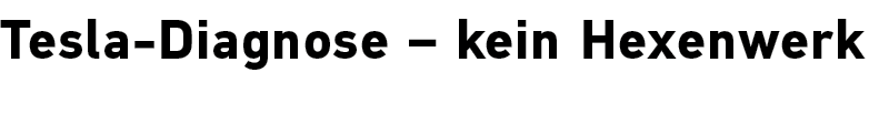 Tesla Diagnose – kein Hexenwerk