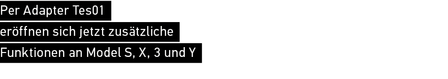 Per Adapter Tes01 er ffnen sich jetzt zus tzliche Funktionen an Model S, X, 3 und Y