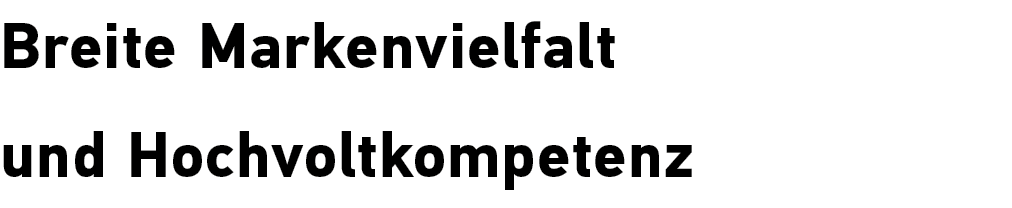 Breite Markenvielfalt und Hochvoltkompetenz
