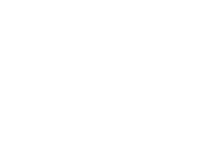 Revolution S Diagnose Premiere mega macs S 20