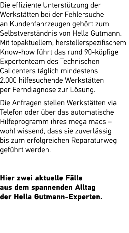 Die effiziente Unterst tzung der Werkst tten bei der Fehlersuche an Kundenfahrzeugen geh rt zum Selbstverst ndnis von...