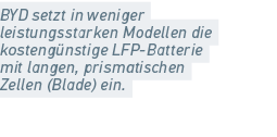 BYD setzt in weniger leistungsstarken Modellen die kosteng nstige LFP Batterie mit langen, prismatischen Zellen (Blad...