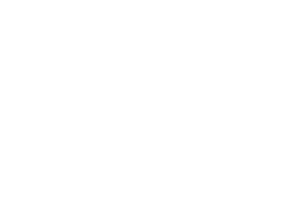 mega macs PLUS Der Diagnose Zwilling des mega macs S 20 f r Windows
